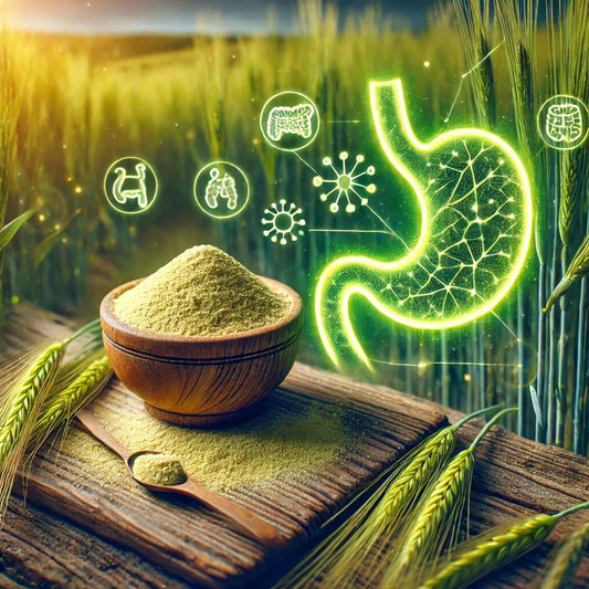 How Pure Barley Improves Digestion