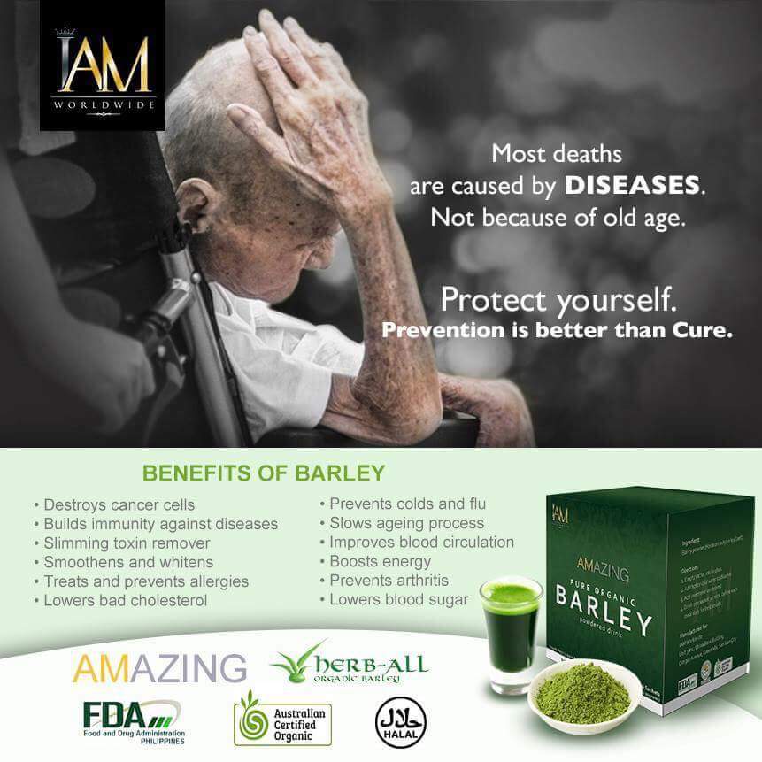 Amazing Pure Organic Barley Powdered Drink – 100% Natural Nutrition for Immunity and Wellness